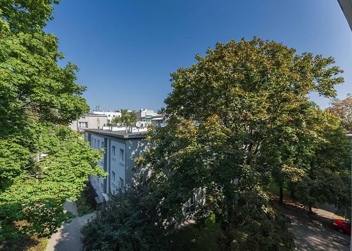 Franciszkanska Blueberry * Warszawa