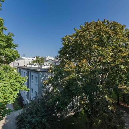 Franciszkanska Blueberry * Varsovia